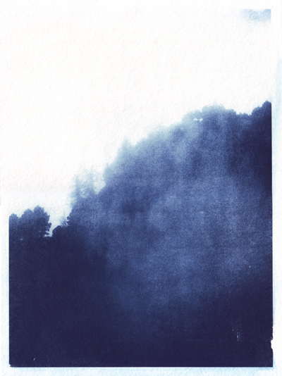 Cyanotype_Sans titre_2017_MG_1996.jpg en taille normale